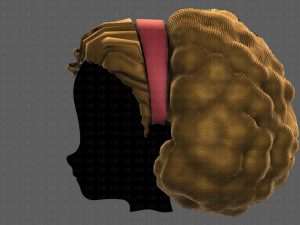 3D Hair style for girl V97 Model 3D