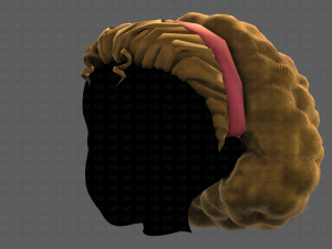 3D Hair style for girl V97 Model 3D