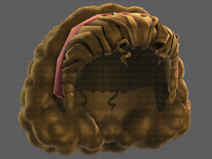 3D Hair style for girl V97 Model 3D
