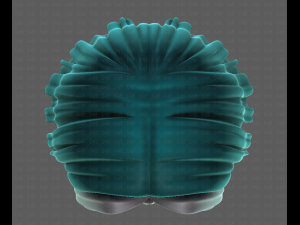 3D Hair style for girl V99 Model 3D