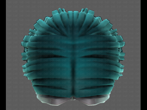 3D Hair style for girl V99 Model 3D