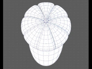 Bon&eacute; V14 Modelo 3D