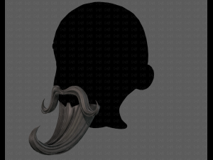 Beard V21 3D-Modell