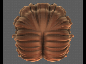 3D Hair style for girl V100 3D 模型