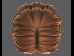 3D Hair style for girl V100 3D Model