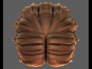 3D Hair style for girl V100 3D 模型