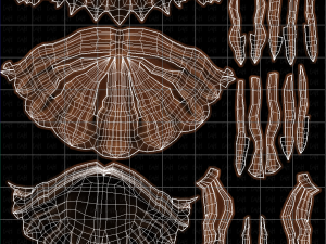 3D Hair style for girl V100 3D 模型