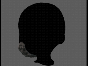Beard V23 Modelo 3D