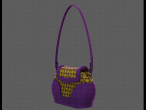 Bag V03 3D Model