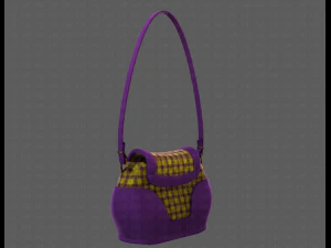 Bag V03 3D Model