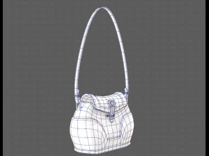 Bag V03 3D Model
