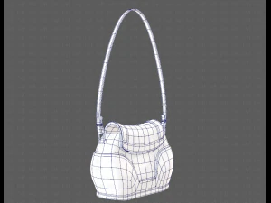 Bag V03 3D Model