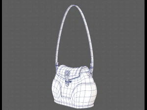 Bag V03 3D Model
