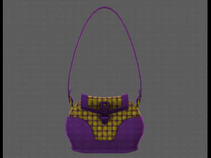 Bag V03 3D Model