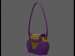 Bag V03 3D Model