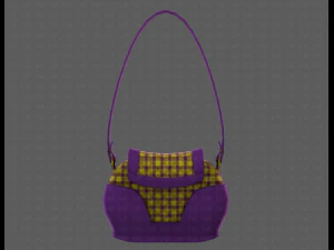 Bag V03 3D Model