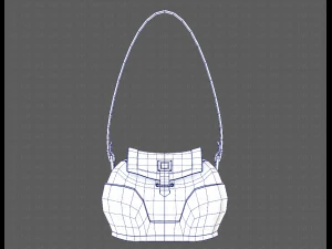 Bag V03 3D Model