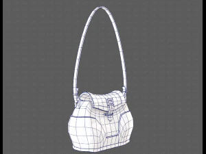 Bag V03 3D Model