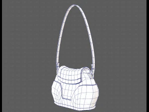 Bag V03 3D Model