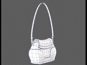Bag V03 3D Model