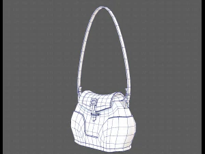 Bag V03 3D Model