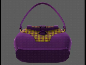 Bag V03 3D Model