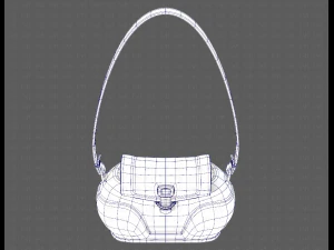 Bag V03 3D Model