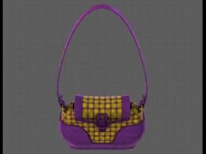 Bag V03 3D Model