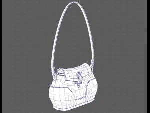 Bag V03 3D Model