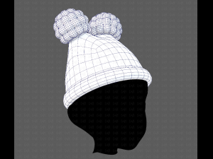 Cap V17 3D Model