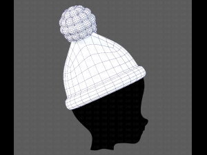 Cap V17 3D Model