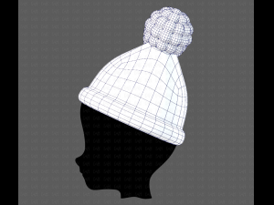 Cap V17 3D Model
