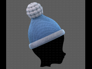 Cap V17 3D Model