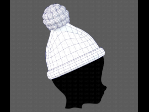 Cap V17 3D Model