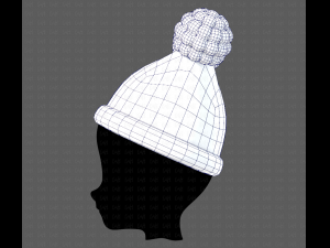 Cap V17 3D Model