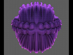 3D Hair style for girl V101 3D Model