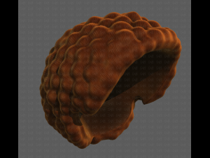 3D Hair style for boy V82 3D Model