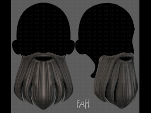 Beard V24 3D Model