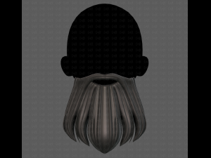 Beard V24 3D Model