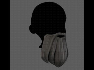 Beard V24 3D Model