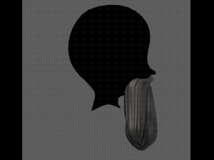 Beard V24 3D Model