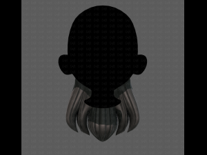 Beard V24 3D Model