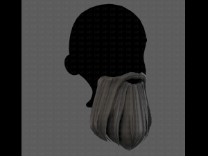 Beard V24 3D Model