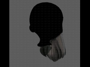 Beard V24 3D Model