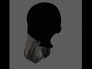 Beard V24 3D Model