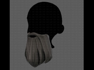 Beard V24 3D Model