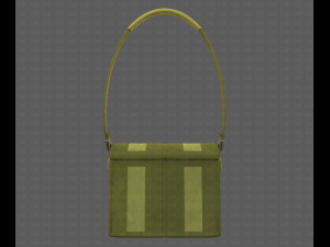 Bag V04 3D Модель