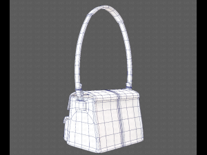 Bag V04 3D Модель