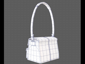 Bag V04 3D Модель