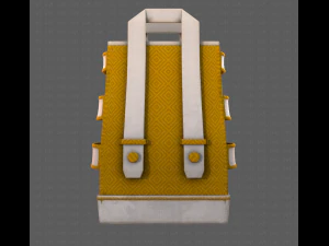 Bag V05 3D Model